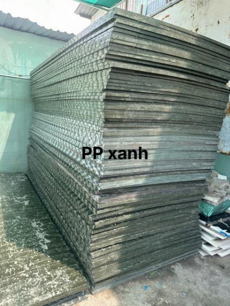 THỚT PP XANH